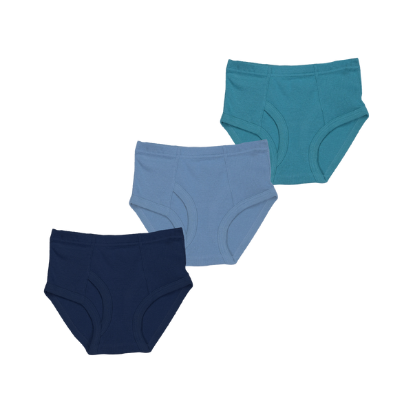 THREE-PACK BRIEFS NAVY/BLUE/GREEN