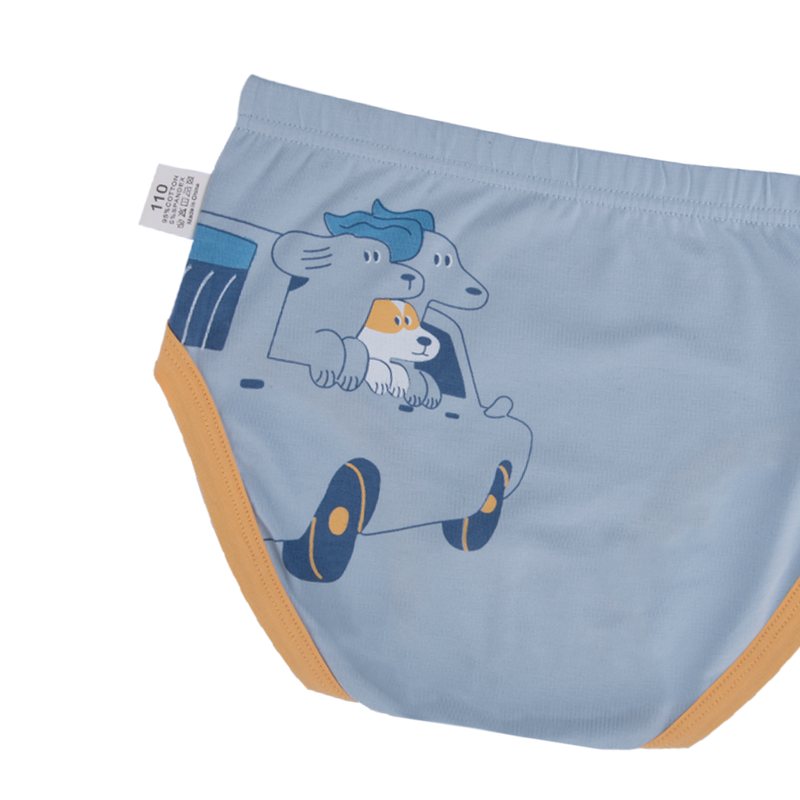CHASE Briefs for Boys