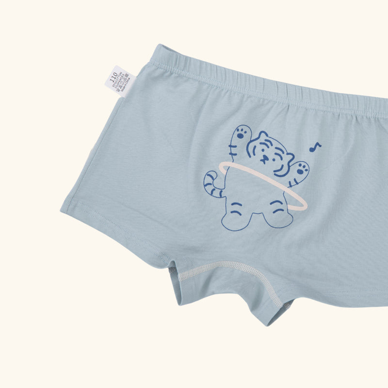 CHARLIE BOXER BRIEFS FOR BOYS